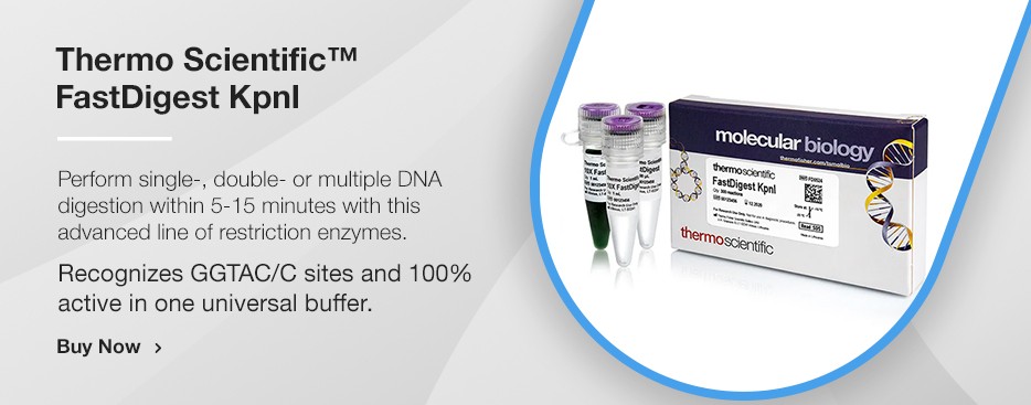 Restriction Enzymes